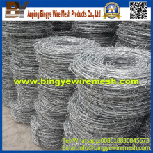 Security Barbed Wire/ Safety Razor Wire From Bingye